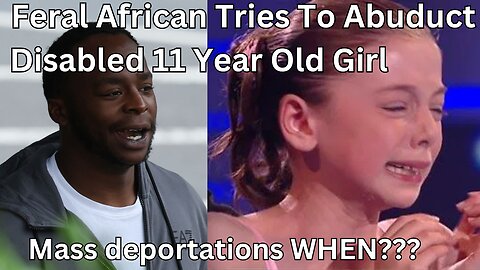 Nigerian Immigrant Attempts To Abduct 11 Year Old Girl In Dublin, Ireland. (Rant)