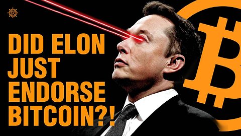 Is Elon Actually a BITCOINER?! | Bitcoin Banter
