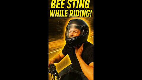 From Vibes to Pain in Seconds… Bee Attack on My Ride!