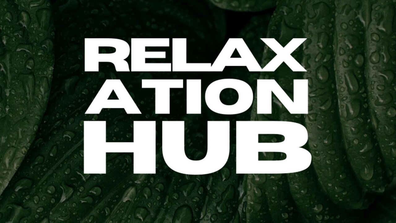 Relaxation Hub, Vol. 4