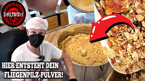 BANNED on YouTube: How We Make Amanita Muscaria Powder! 🍄🔥