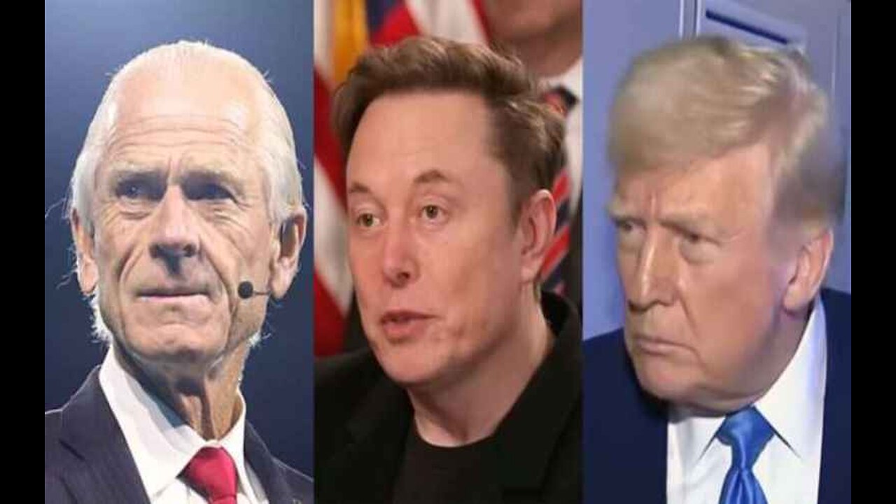 Elon Musk Swipes at Trump Trade Advisor Peter Navarro Amid Latest Tariffs