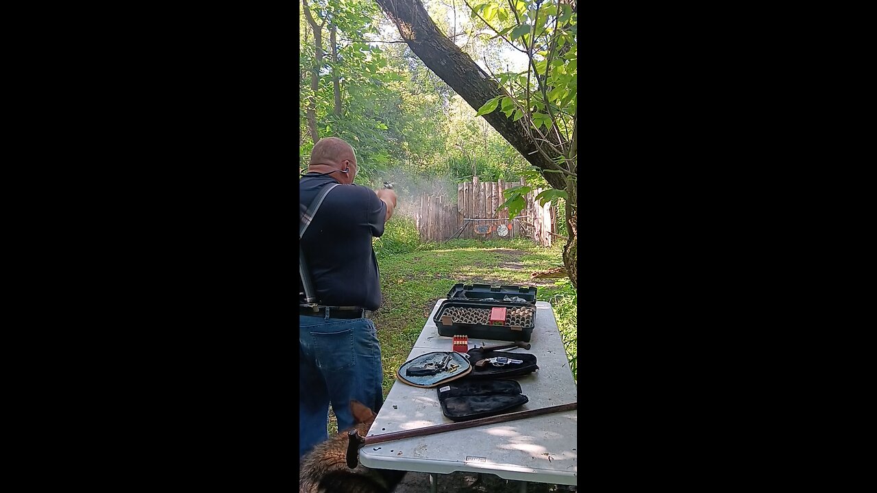 Ruger GP100 44 Special