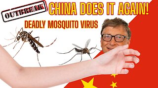 Mosquito Virus Outbreak In China & The Gates Connection! What You Should Know!