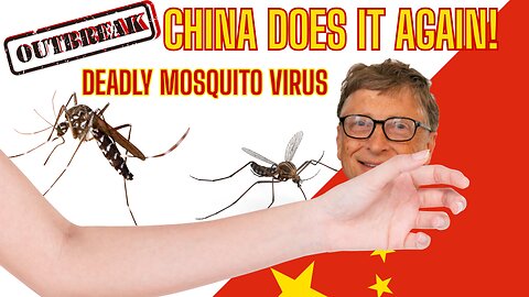 Mosquito Virus Outbreak In China & The Gates Connection! What You Should Know!