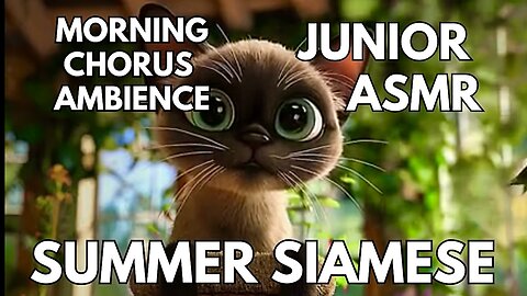 🐾 Summer Siamese Ambience | Morning Chorus & Purring | 4K Junior ASMR | Summer