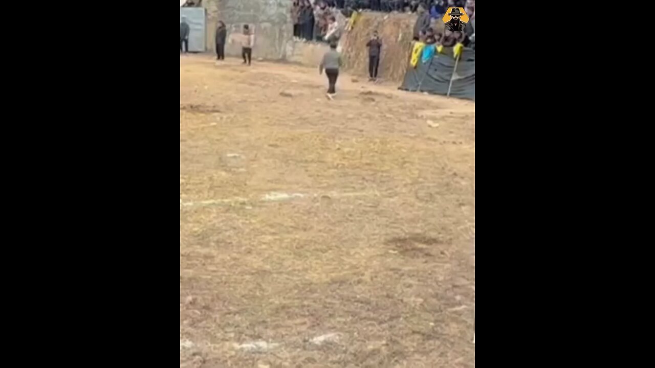 when animal gets mad n attack
