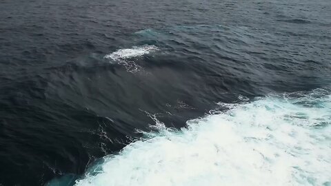 Australian surfers have stumbled upon a rare ocean phenomenon — a spot where four waves