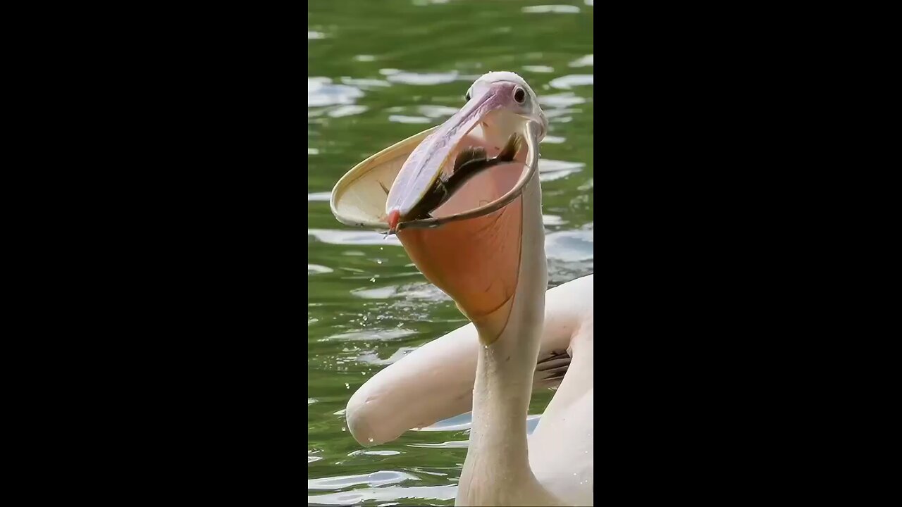 😱
