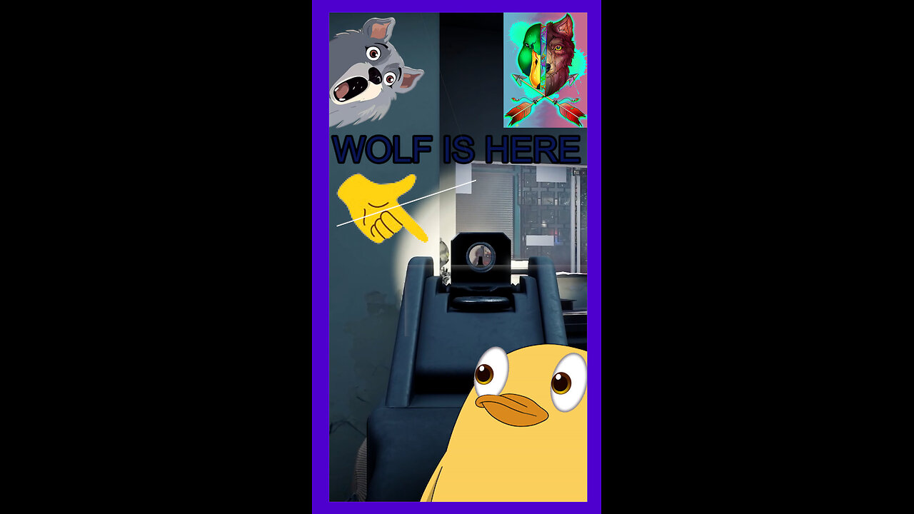 Wolf Says Don’t Shoot Over His Shoulder… I Missed That Memo Ready or Not