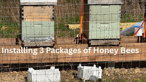Installing 3 New Packages of Honey Bees.