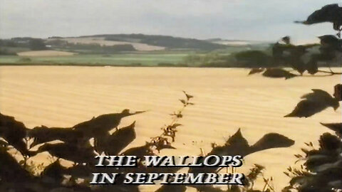 The Wallops September 1986