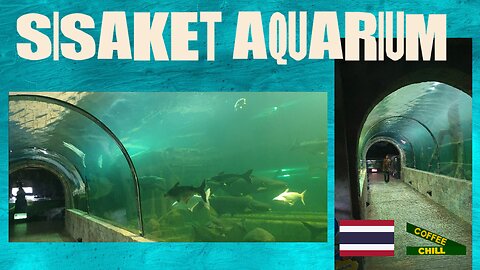 Sisaket Aquarium - 🐟 ศูนย์แสดงพันธุ์สัตว์น้ำ เทศบาลเมืองศรีสะเกษ - Southern Isaan Thailand TV #isan