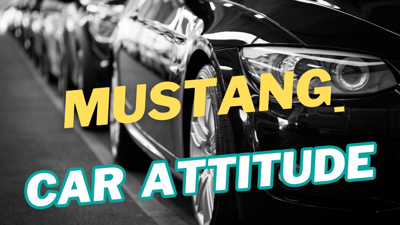 Mustang Car Attitude
