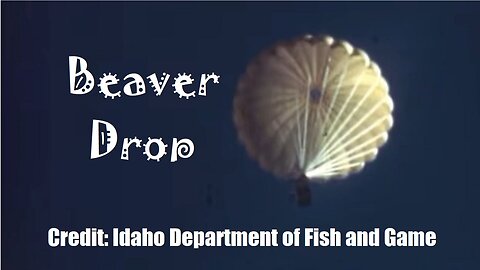 Beaver Drop | Credits: Idaho Department of Fish and Game | A good use of parachutes | TKP