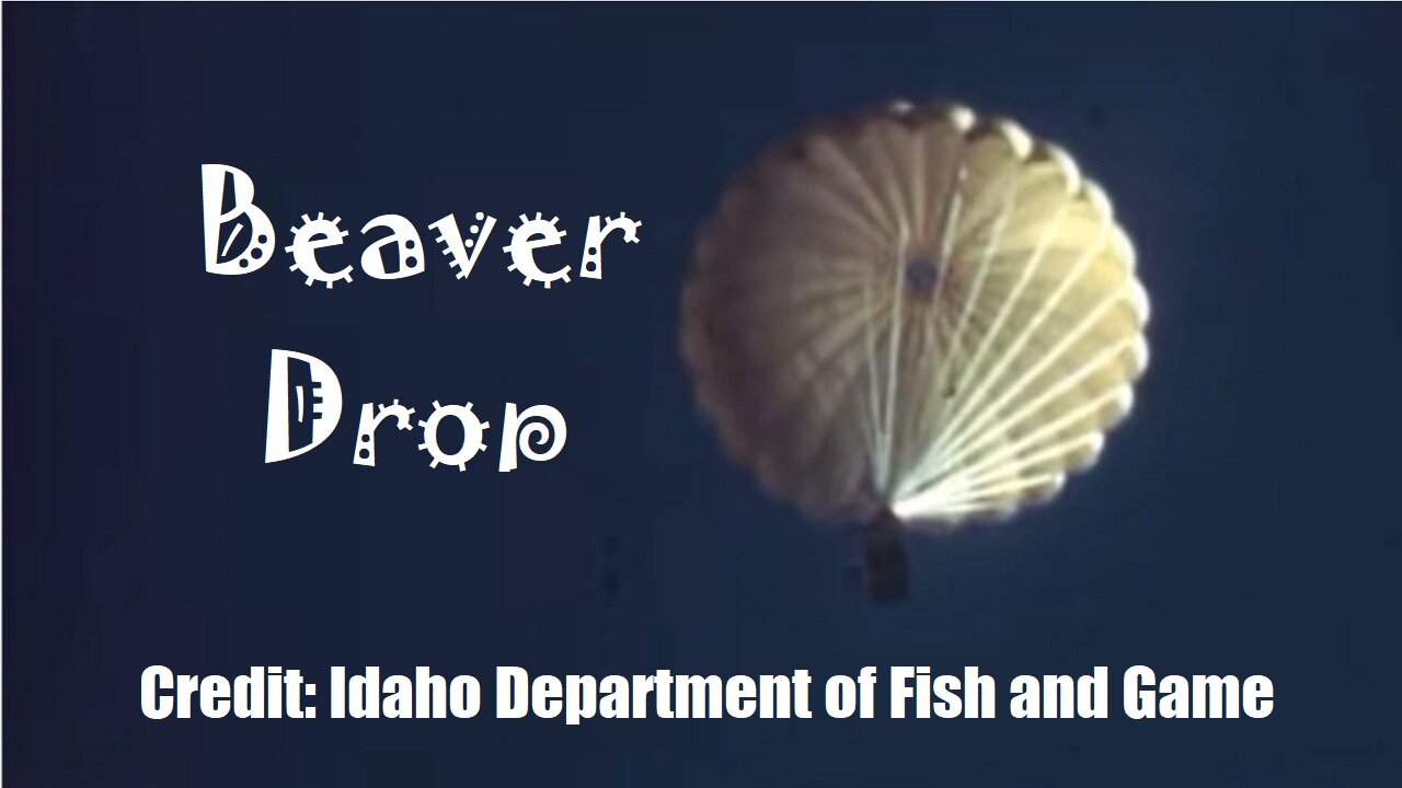 Beaver Drop | Credits: Idaho Department of Fish and Game | A good use of parachutes | TKP