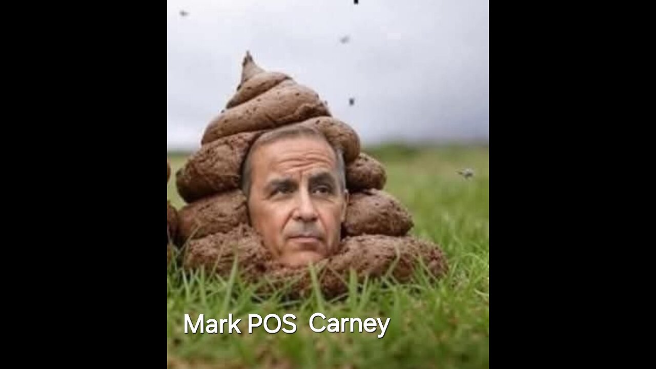 Angry Canadian - Liar liar pants on fire ! Mark Carney is...