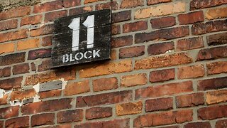 Auschwitz Block 11 Lie 8-3-25