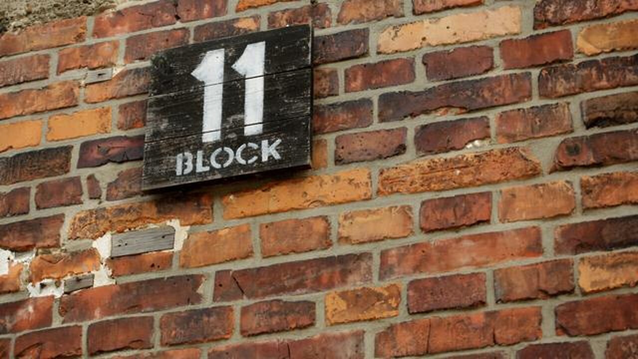 Auschwitz Block 11 Lie 8-3-25