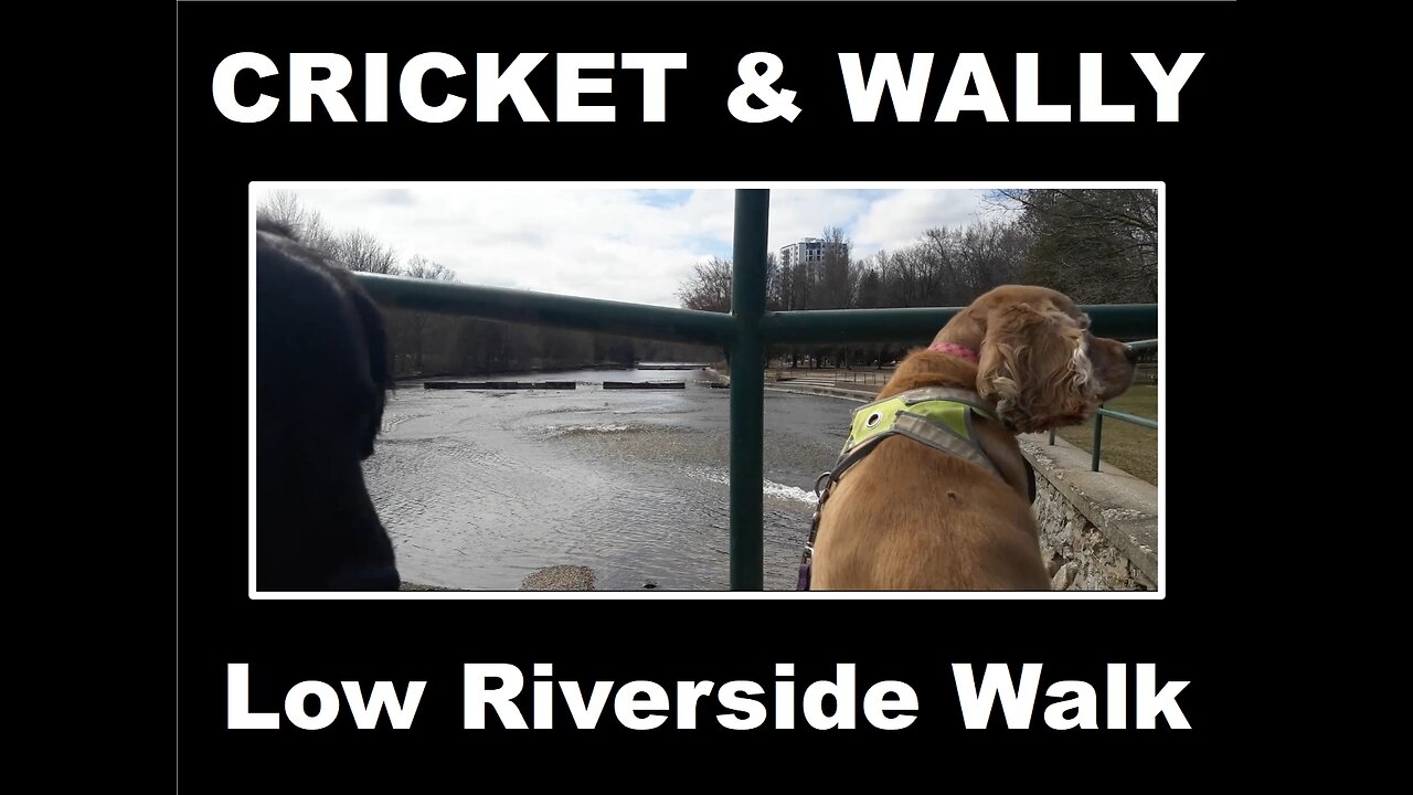 Cricket and Wally's Low Riverside Walk after the Waterfalls dried up | April 2025