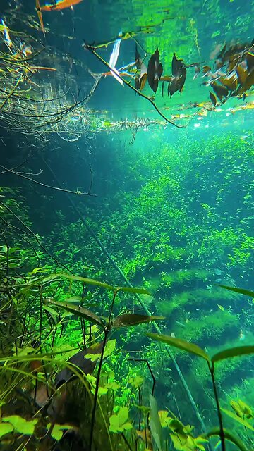 Most beautiful view in water with iPhone