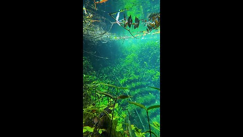 Most beautiful view in water with iPhone