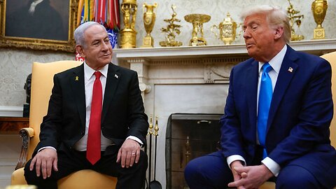 Bibi Dog Walks Trump