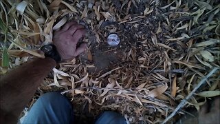 Water meter