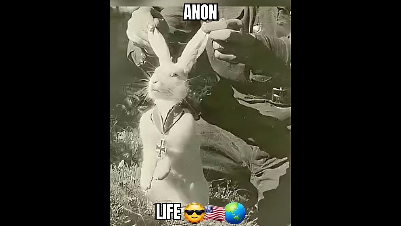 I ain't hurtin ya feelins on purpose 🐇