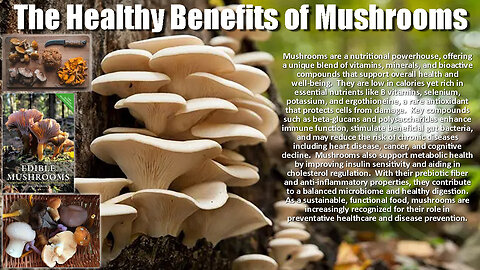 The Healthy Benefits of Mushrooms