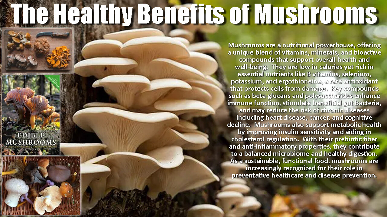 The Healthy Benefits of Mushrooms