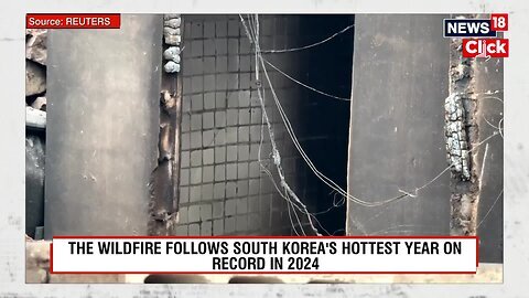South Korea Wildfires _ South Korean Man Cleaning Gravesite Suspected Of Starting Wildfires _ N18G