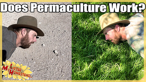 Does Permaculture Work? How We're Greening the Desert | Peek Ep407