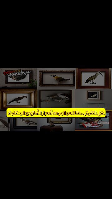 هل انقرض حقًا؟ نسر الموت: أسرار الأمازون المظلمة #أساطير #حيوانات #الأمازون