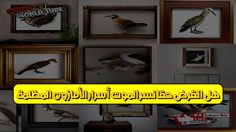 هل انقرض حقًا؟ نسر الموت: أسرار الأمازون المظلمة #أساطير #حيوانات #الأمازون