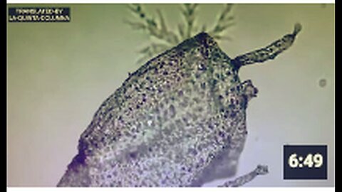 "Vaccinated Individuals Undergo Irreversible Mutation"