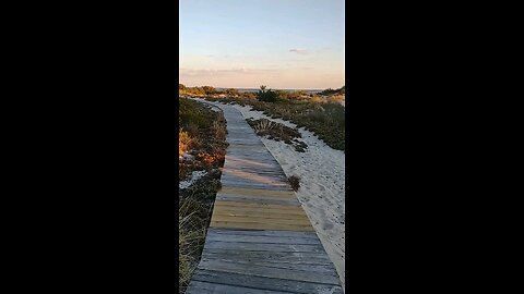 Barnegat Light, New Jersey. (Beach 🐚 nature 🍄‍🟫 🍃 🌲 🍄 trail)