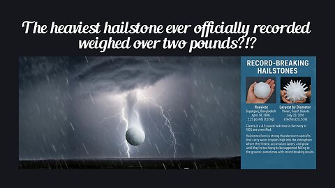 Fun Fact for June 28th 2025 Pt 1