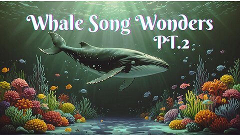 🐋 Whale Song Wonders Pt.2 – A Magical Ocean Adventure! 🌊🎶