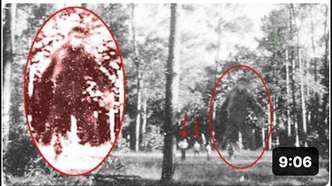 "Exclusive Reports: Hidden Creatures Unveiled!"