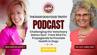 Challenging the Veterinary Status Quo | With DVM Judy Jasek | Raw Dog Food and Company
