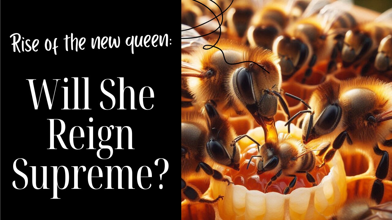 Will the new Queen Reign Supreme?