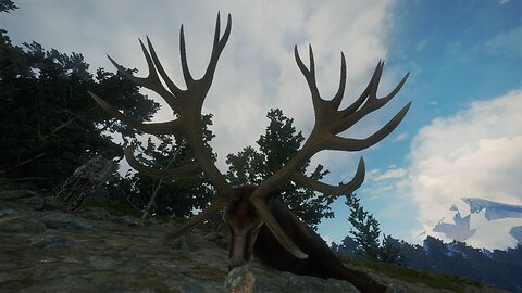 My 2nd Red Stag Trophy Lodge