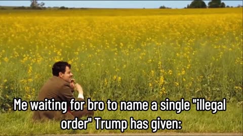 DEM Congressman Who Urged Military To Disobey Trumps "Illegal Orders" Can't Name A Single One