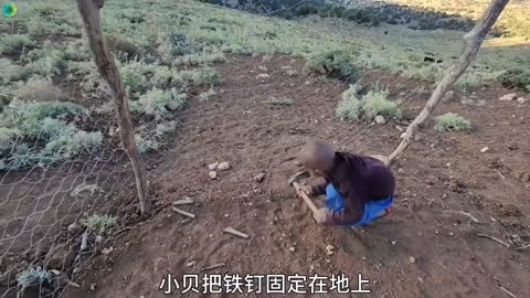 Golden Hour Nomad Camp | Soft Light, Strong Remix