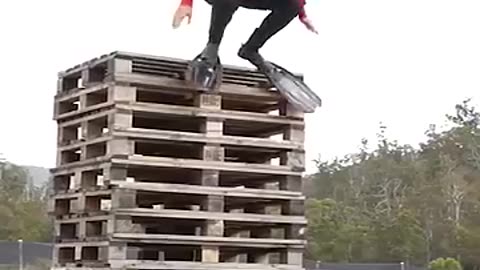 If Animal Did Parkour