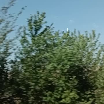 Road Trip adventures