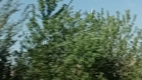 Road Trip adventures