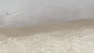 ENJOY THE OCEAN WAVES!