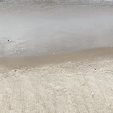 ENJOY THE OCEAN WAVES!